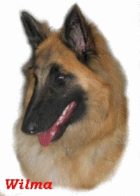 mimina.gif, 46 kB