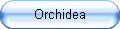 ori.gif, 1 kB