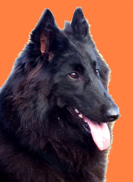 oriportret.jpg, 28 kB