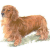pic10.gif, 2 kB